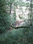 SX22913 River by Clun Castle.jpg